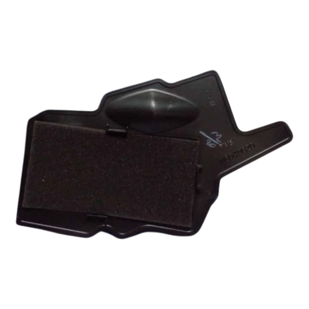 TVS Raider 125 Hava Filtresi (N6040620)