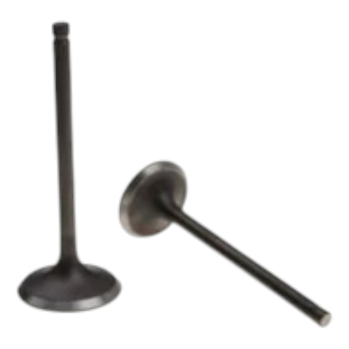 TVS Jupiter 110 Subap Takımı (Euro 5) (M1010550+M1010560)