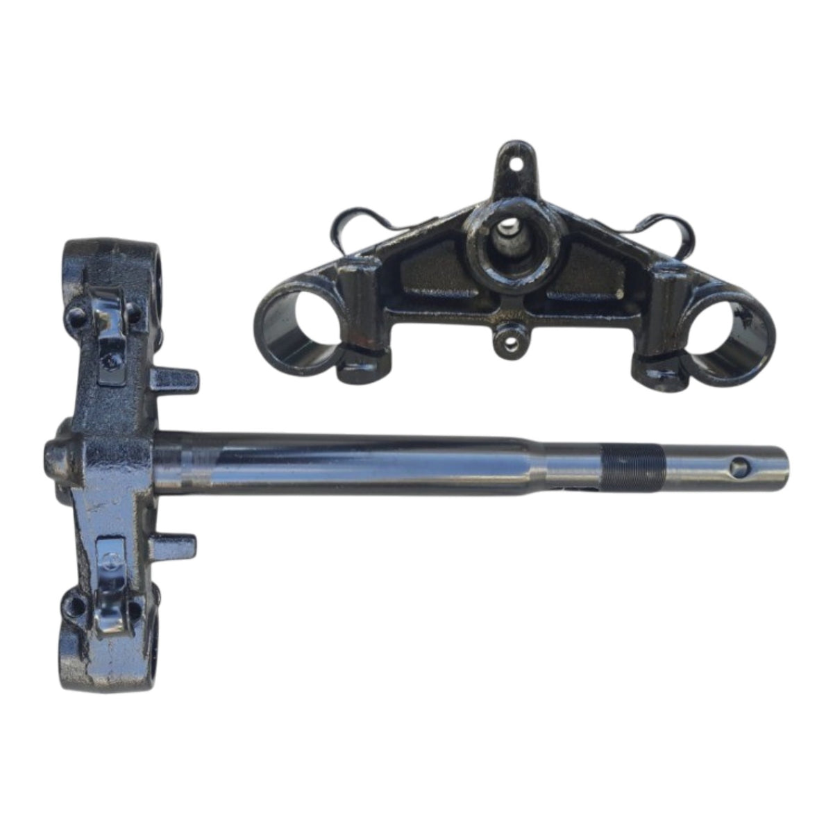 Kuba Zenzero 125 Alt Platin (İthal)