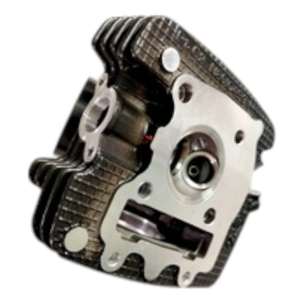 TVS Raider 125 Silindir Kapağı (Boş) (N8011200)