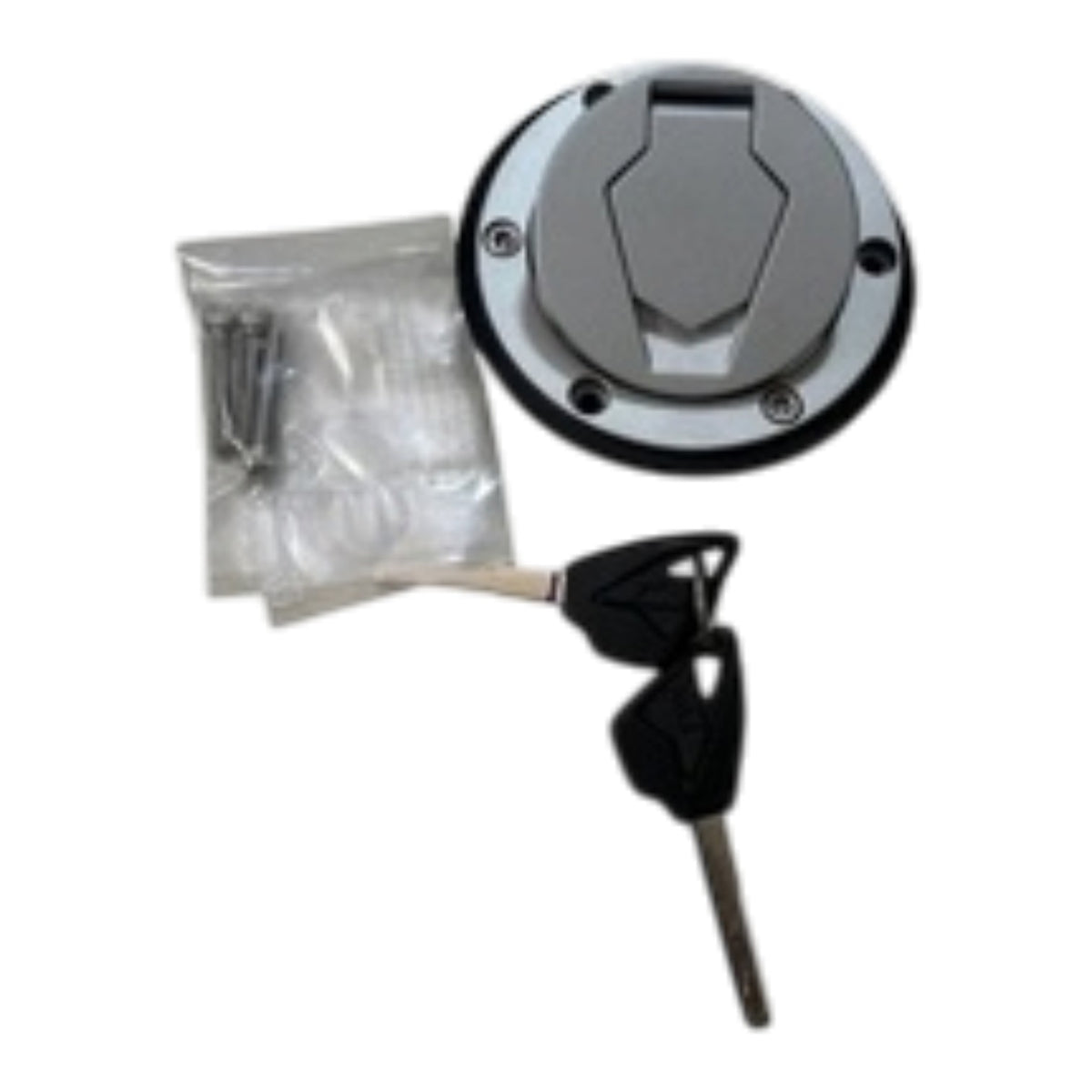 TVS Raider 125 Depo Kapağı (N6140690)