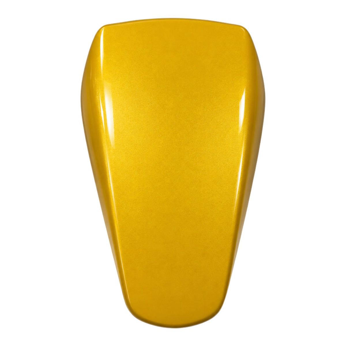 TVS Raider 125 Ön Çamurluk (Sarı) (N6224359BR)