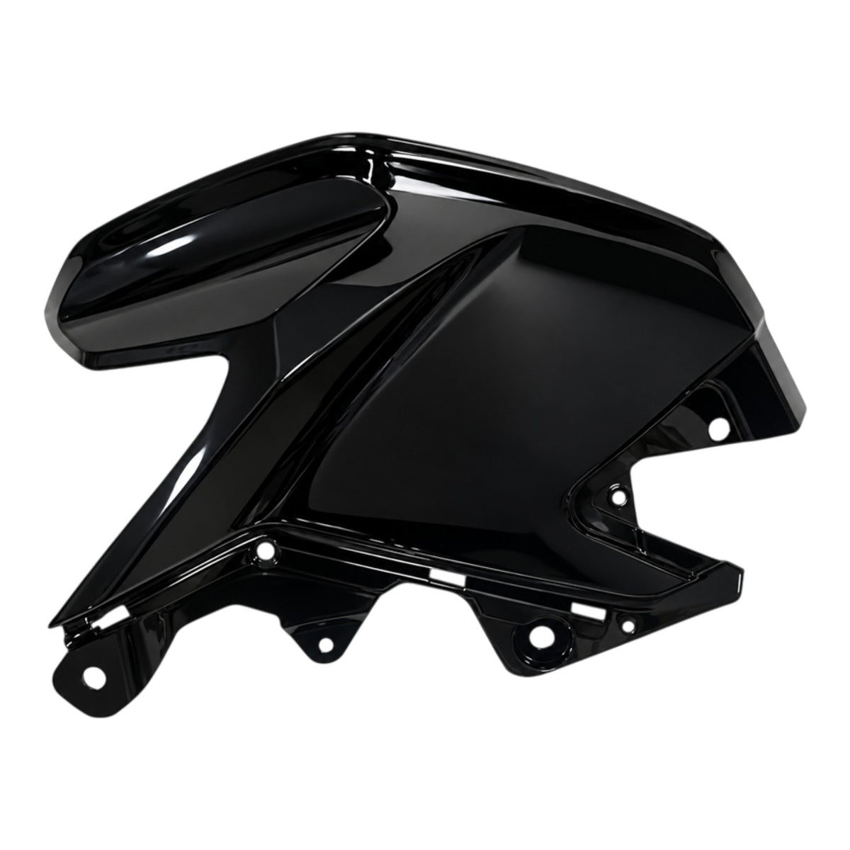 TVS Raider 125 Sol Depo Grenajı (Siyah) (N62241690D)