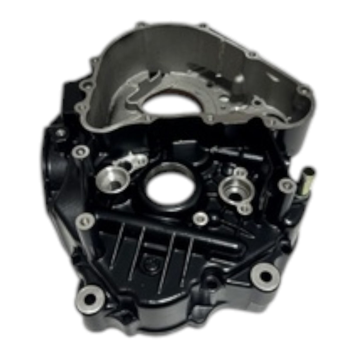 TVS Apache RTR 200 Sağ Karter (N9325460)