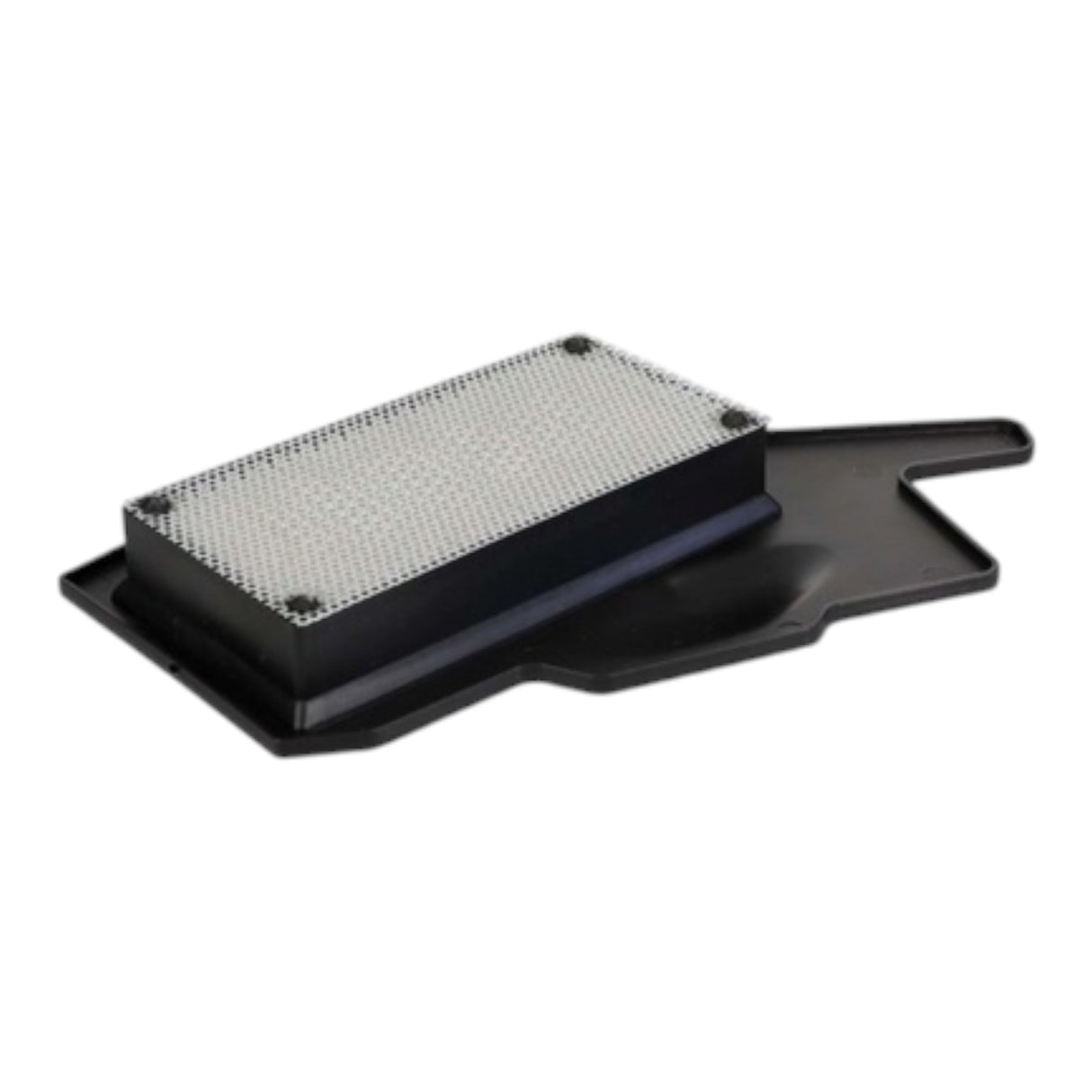 TVS Raider 125 Hava Filtre Elemanı (N6040620)