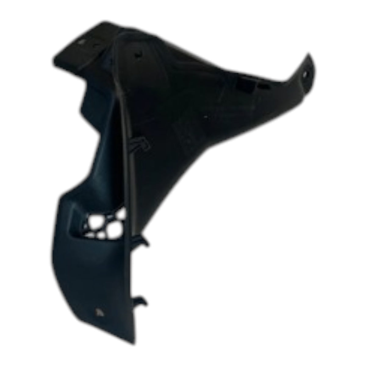 TVS Raider 125 Sağ Depo Yan Kapak (Pandizot) (N6225780)