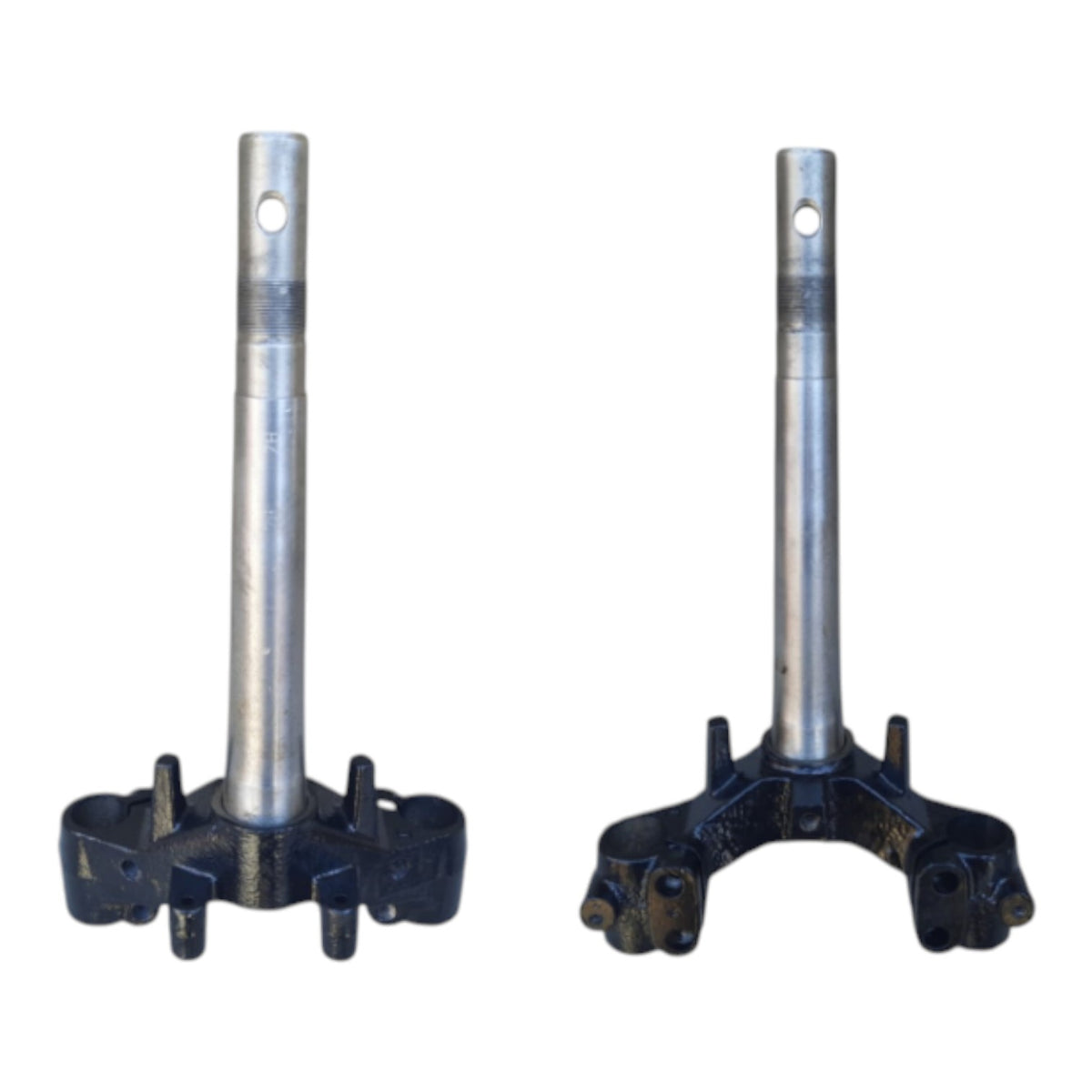 Mondial SFC CUB Alt Platin (İthal)