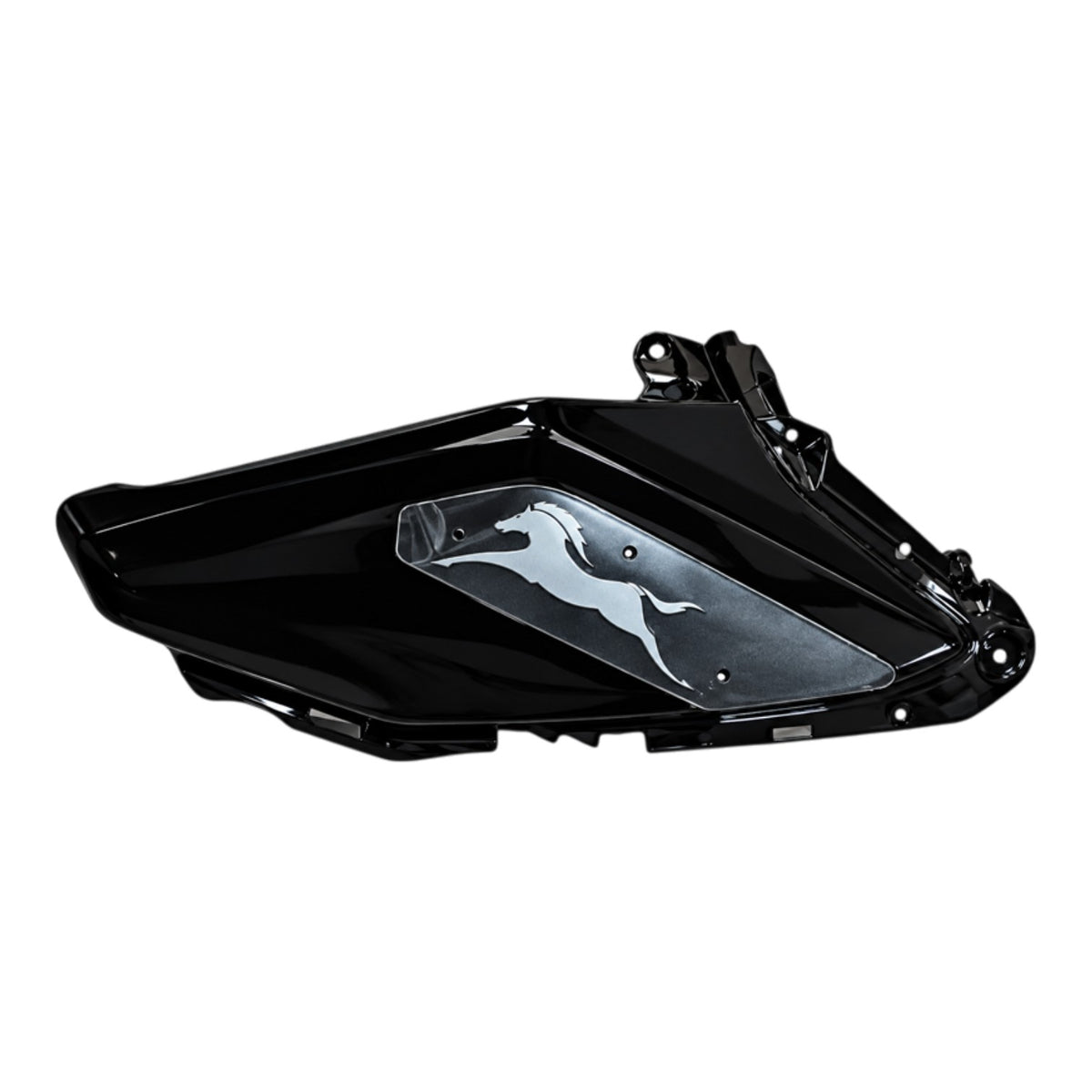 TVS Raider 125 Sol Ön Depo Grenajı (N62244900D)