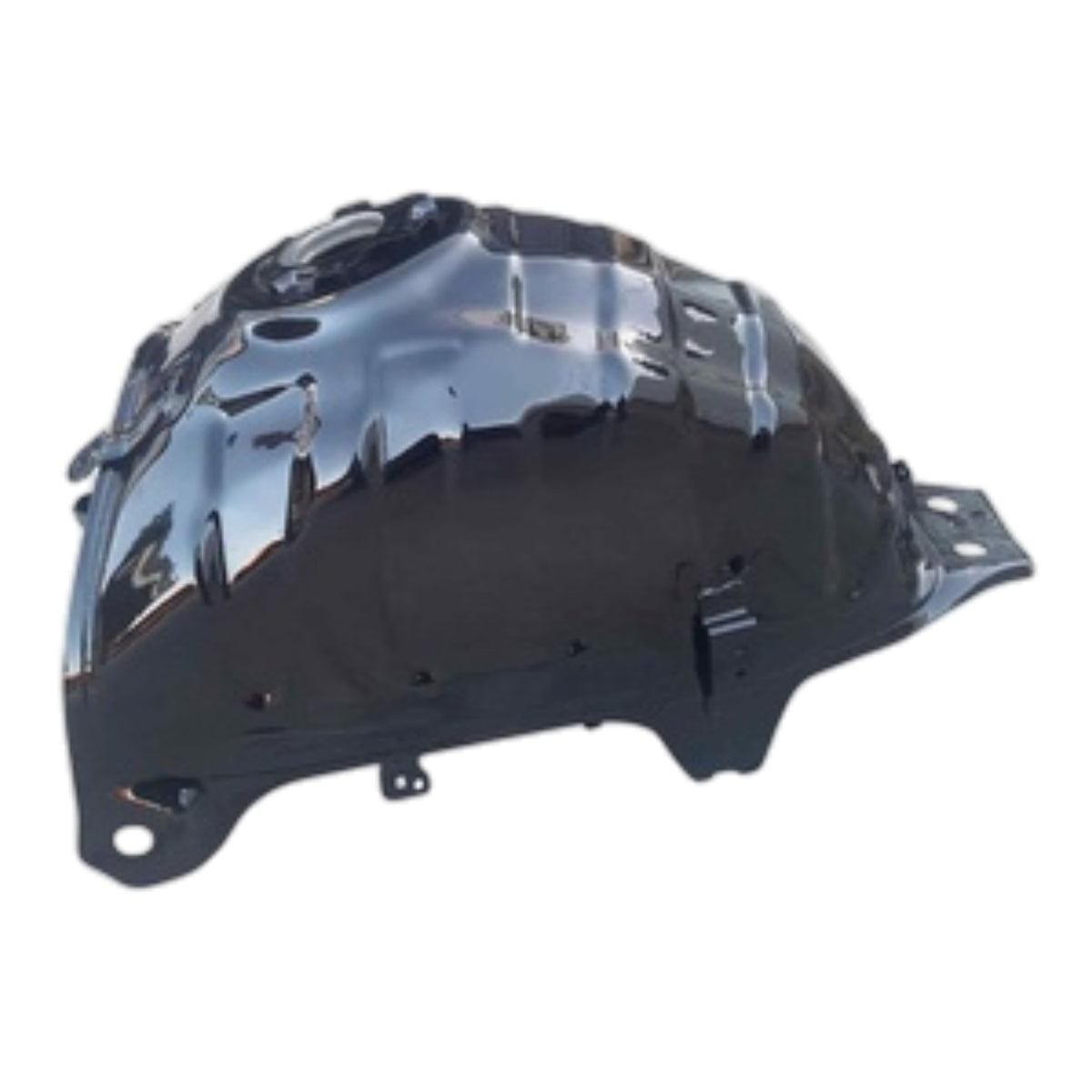 TVS Raider125 Benzin Deposu (N6140810)