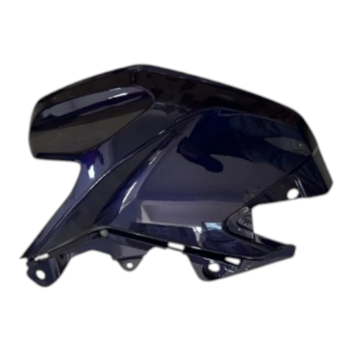 TVS Raider 125 Depo Grenajı Sol (Mavi) (N6224169AC)